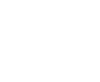 Logo Icon